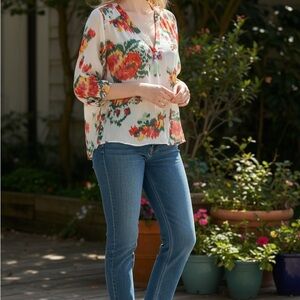 Joie Multicolor Sheer Top